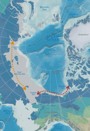 Coastal & Offshore Permafrost In a Changing Arctic